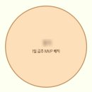 국회대로52길 | 영등포 맛집 탐방 + 술안주 추천✨ 직장인 일상 블로그 | 수영장 &amp; 유기견 봉사