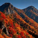 머무르다 이미지