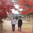 보은 우당고택 이미지