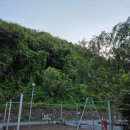 어게인캠핑C 이미지