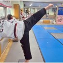 사랑 태권도 이미지