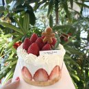 라벨크렘 | 화동명 케이크 라벨크렘 내돈내산 후기