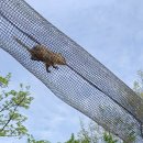 이마트24 사당역점 이미지