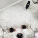 멍품유치원 이미지