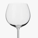 [단일과정] 와인소믈리에 이미지