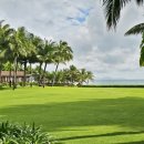 아남농장 이미지