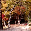 덕고개 - 철원군 | 덕고개