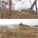송기농로 티스토리