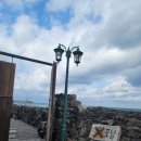 더 스테이 꽃님 이미지