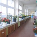 금성여자상업고 이미지