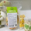 명랑견생 이미지