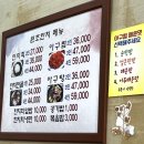 원조한치회 이미지
