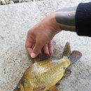 서진레포츠 이미지