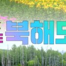 (주)라벤더투어