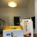 세월건강원