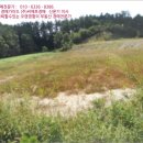 덕상2리 장봉 이미지