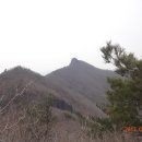 부산23산우회 배네골-영축산/2017.03.18 2부 이미지