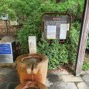 이천시 설봉공원 족구장 | 대형견과의 산책 후기 (막둥이와 가본 곳)