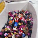 도토리 게임월드 | 잠실 롯데월드몰 초등아이랑 실내 데이트 가볼만한 곳 즐길거리 맛집 정리