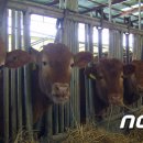 김종호농장 이미지