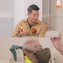 개스트푸드 네이버블로그