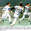 현재 카카오 검색결과