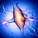 수국한의원 이미지