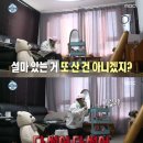 폭풍쇼핑