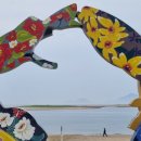 석양을 품은 물고기 이미지