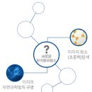 중이온가속기연구소(IRIS) / 희귀동위원소 연구의 요람, RAON과 함께 우주를 읽다! [이공계 밥벌이]
