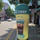바나타이거의정부