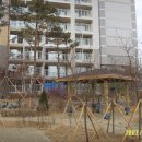 자이랜드공인중개사사무소 이미지