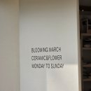블루밍공방 이미지