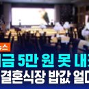 "축의금 5만 원 못 내겠네"…요즘 결혼식장 밥값 얼마길래 이미지