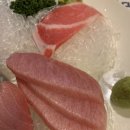 다보참치 이미지