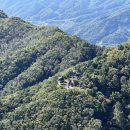 장생포고래로L 이미지