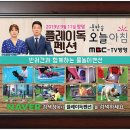플레이독애견풀빌라