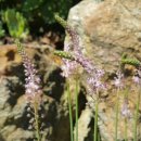 지리산정원 이미지