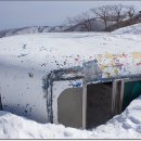 하얀 목장 이미지