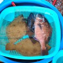 고향집두부 이미지