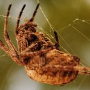 적중초등학교 이미지