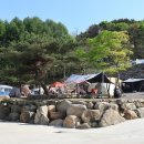 팔공SS오토캠핑장 이미지