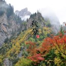 춘하추동 이미지