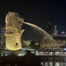 고대1099 | 싱가포르 2박4일 자유여행