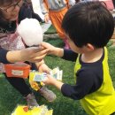 참유치원 이미지