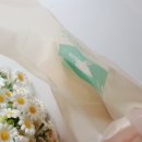 수도로5L | 봉지째 버리면 되는 음쓰봉 음식물쓰레기봉투 사이즈 1L 3.5L 5L