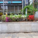 우리디자인시공
