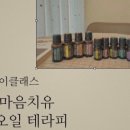 헬로쪼꼬씨