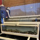 황가네해물탕 | 여수 여행 로컬 현지인 돌산 맛집 황가네 조개구이 내돈내산 추천 후기