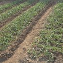 우리농장 이미지